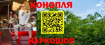 метадон Новозыбков