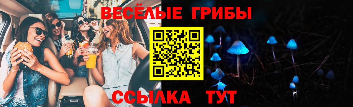 Галлюциногенные грибы Magic Shrooms Северобайкальск